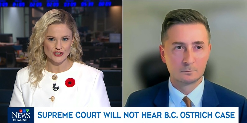 Daniel Walker Bobila Walker Law